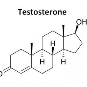 Testosteron