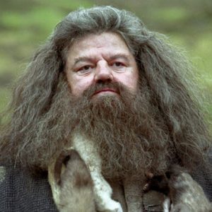 Rubeus Hagrid Sakallı